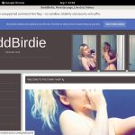 Baddbirdie.modelcentro.com Payporn Discount Baddbirdie.modelcentro.com Payporn Discount