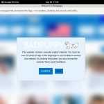 Badpuppy Trial Account