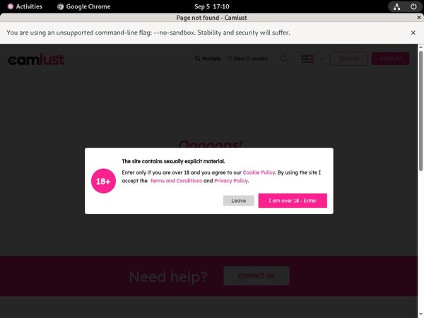Camlust.com Password List