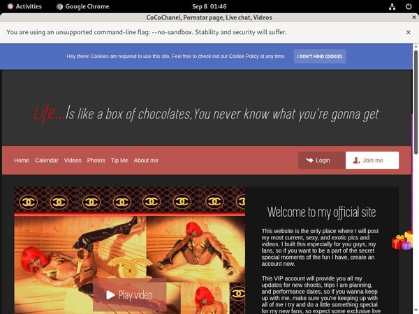 CoCoChanel Porn Discount