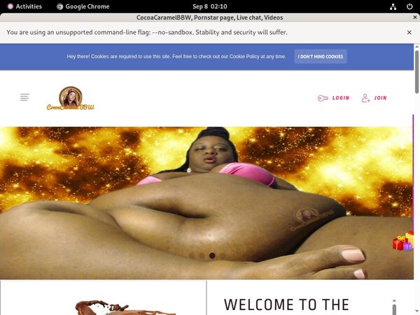 Discount Codes CocoaCaramelBBW