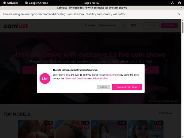 Free Account For Camlust.com