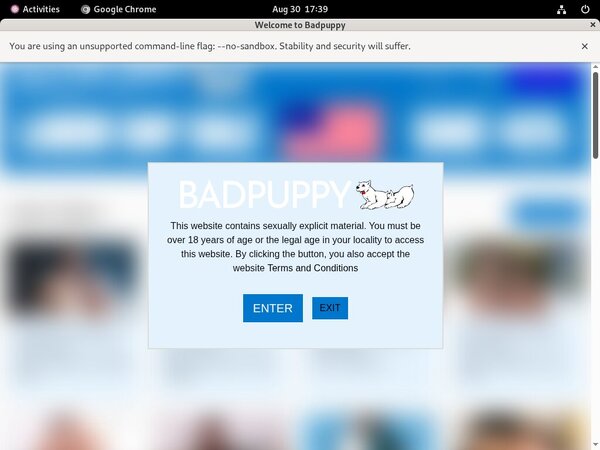 Free Accounts On Bad Puppy