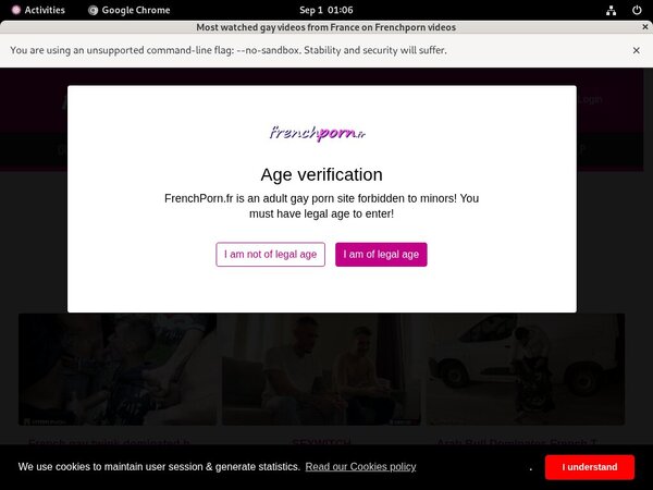 Free Passwords French Porn Gay