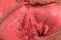 Gape My Pussy Discount Promotion s0 Gape My Pussy Discount Promotion s0