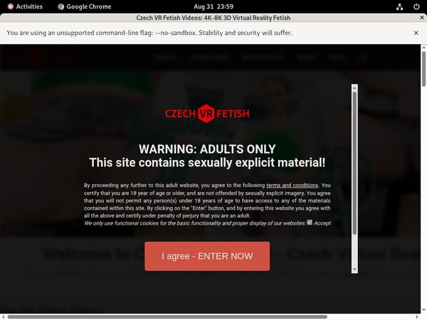 Gay Czechvrfetish