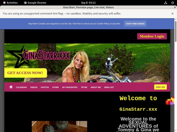 Gina Starr Codes Gina Starr Codes
