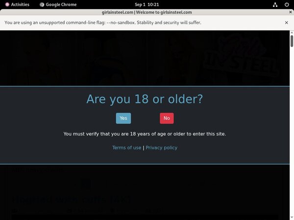 Girlsinsteel Daily Accounts