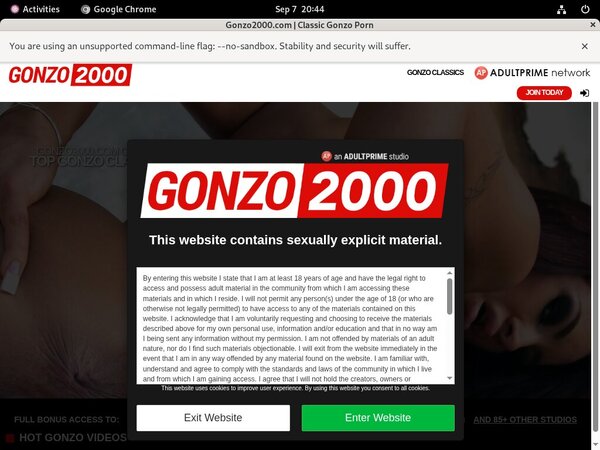 Gonzo 2000 Porn Reviews