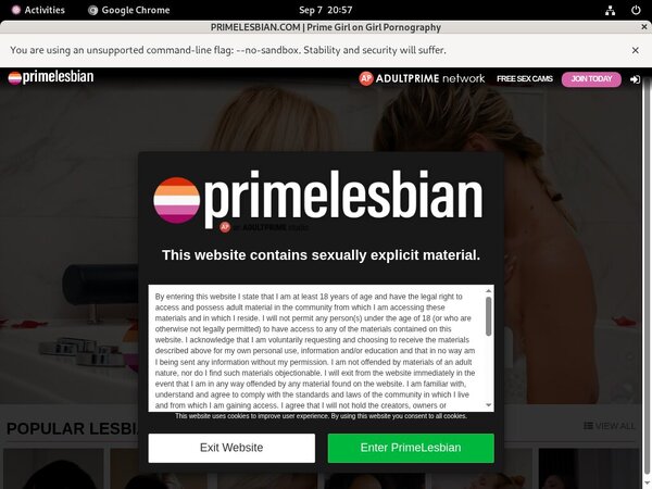 Is Prime Lesbians Worth It Is Prime Lesbians Worth It