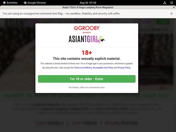 Ladyboy Ladyboy Site