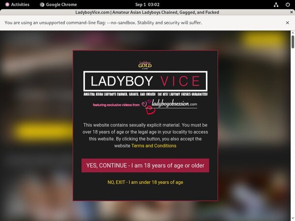 Ladyboyvice Special Discount