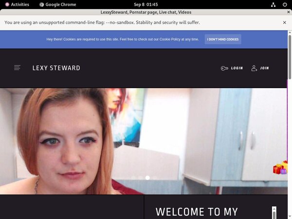 Lexxysteward.modelcentro.com Paswords