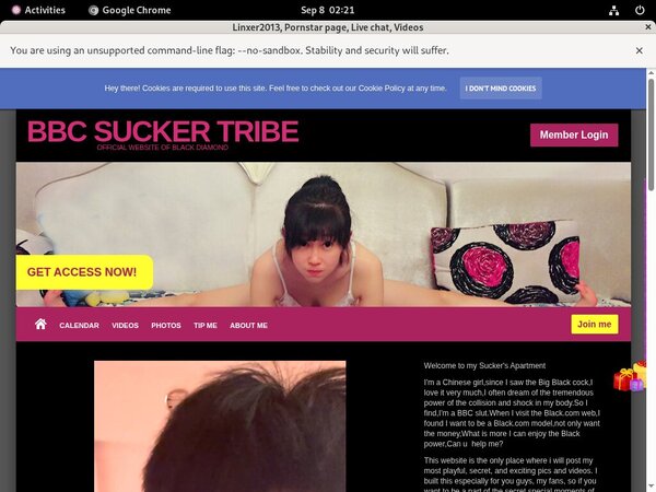 Linxer2013.modelcentro.com Discount Trial Free Linxer2013.modelcentro.com Discount Trial Free