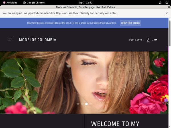 Modelos Colombia New Discount