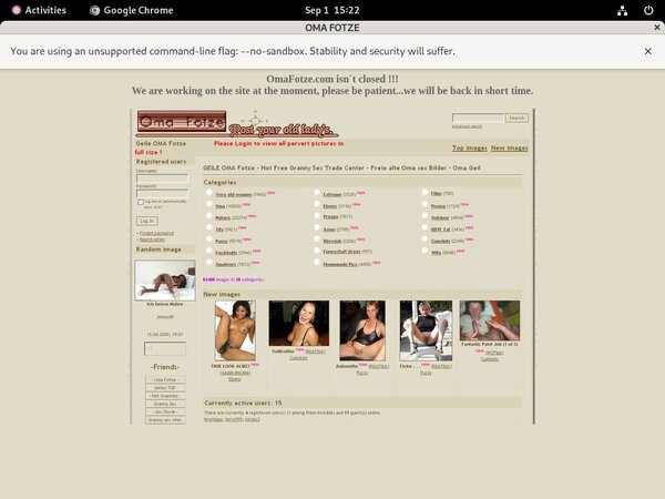 Oma Fotze Premium Logins