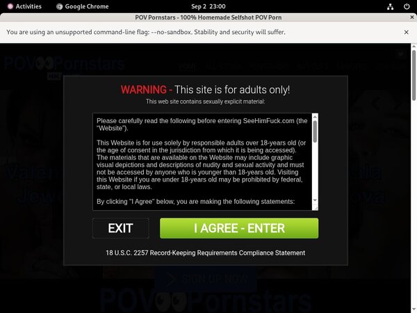 POV Pornstars Secure Purchase