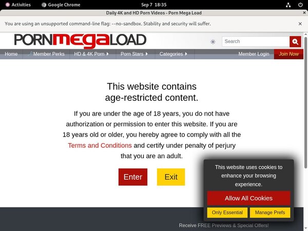 Porn Mega Load Member Passwords