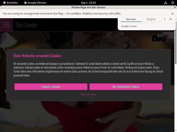 Sari Sander Discount Offer 2018