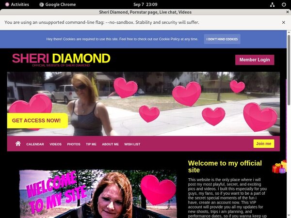 Sheri Diamond Webcams