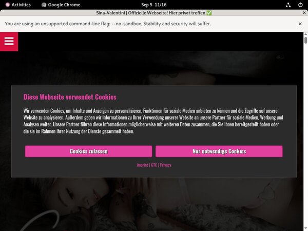 Sina-valentini.de Working Accounts