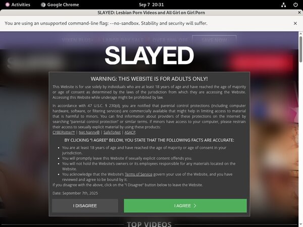 Slayed Netcash