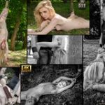 Subscribe To Subspace Land