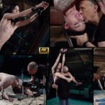 Subspace Land Latest Videos