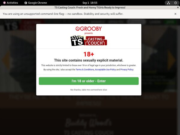 TS Casting Couch Porn Passwords