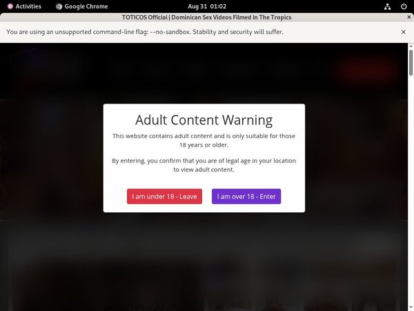 Toticos Paypal Payment