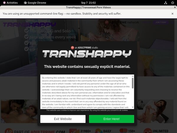Trans Happy Web Site