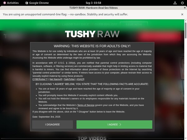 Tushyraw.com Blog