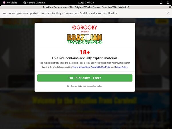 Working Brazilian Transsexuals Password