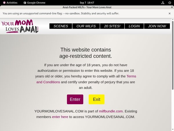 Yourmomlovesanal Websites
