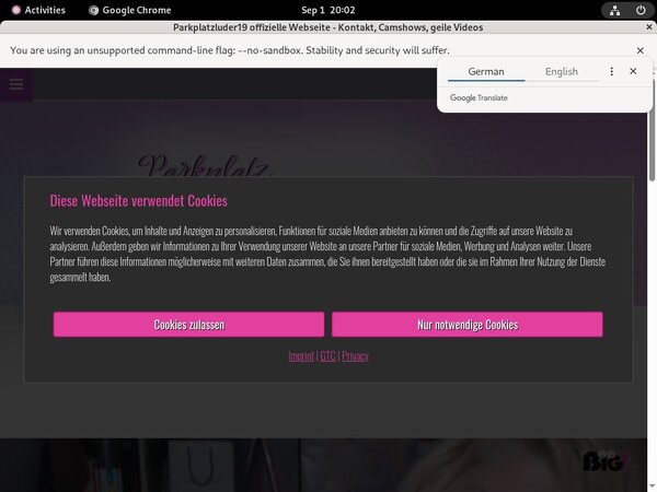 Parkplatzluder19 Paypal Checkout