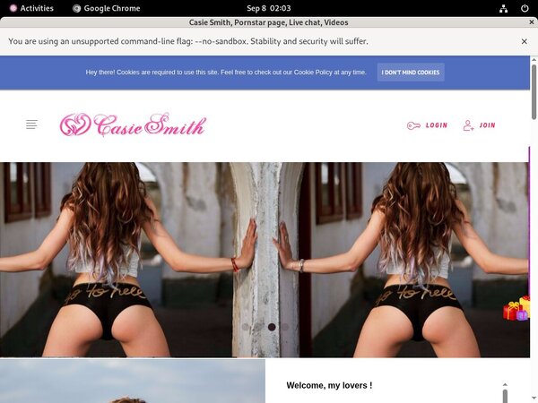 CasieSmith Porn Stars