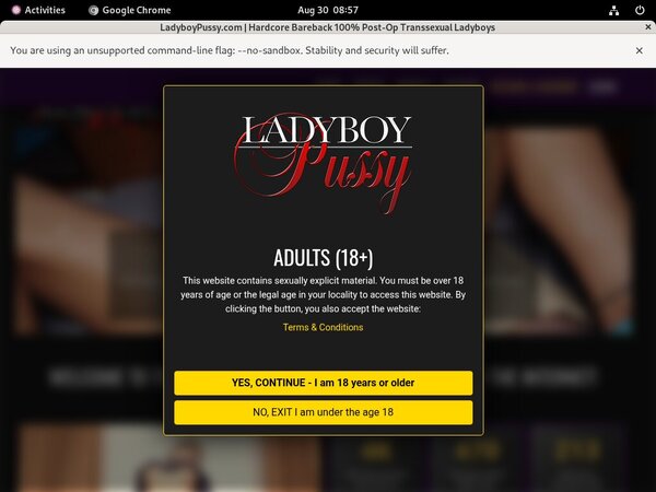 Ladyboy Pussy Pasword