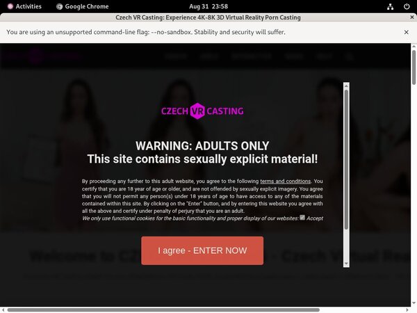 Com Czechvrcasting Offer