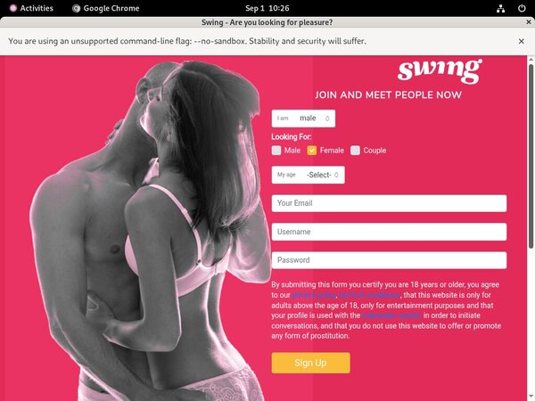 Swing.net Gay