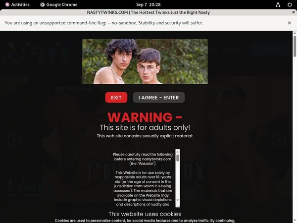 How To Get Free Nastytwinks Account