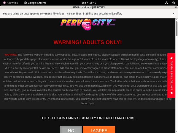 Pervcity Premium Accounts